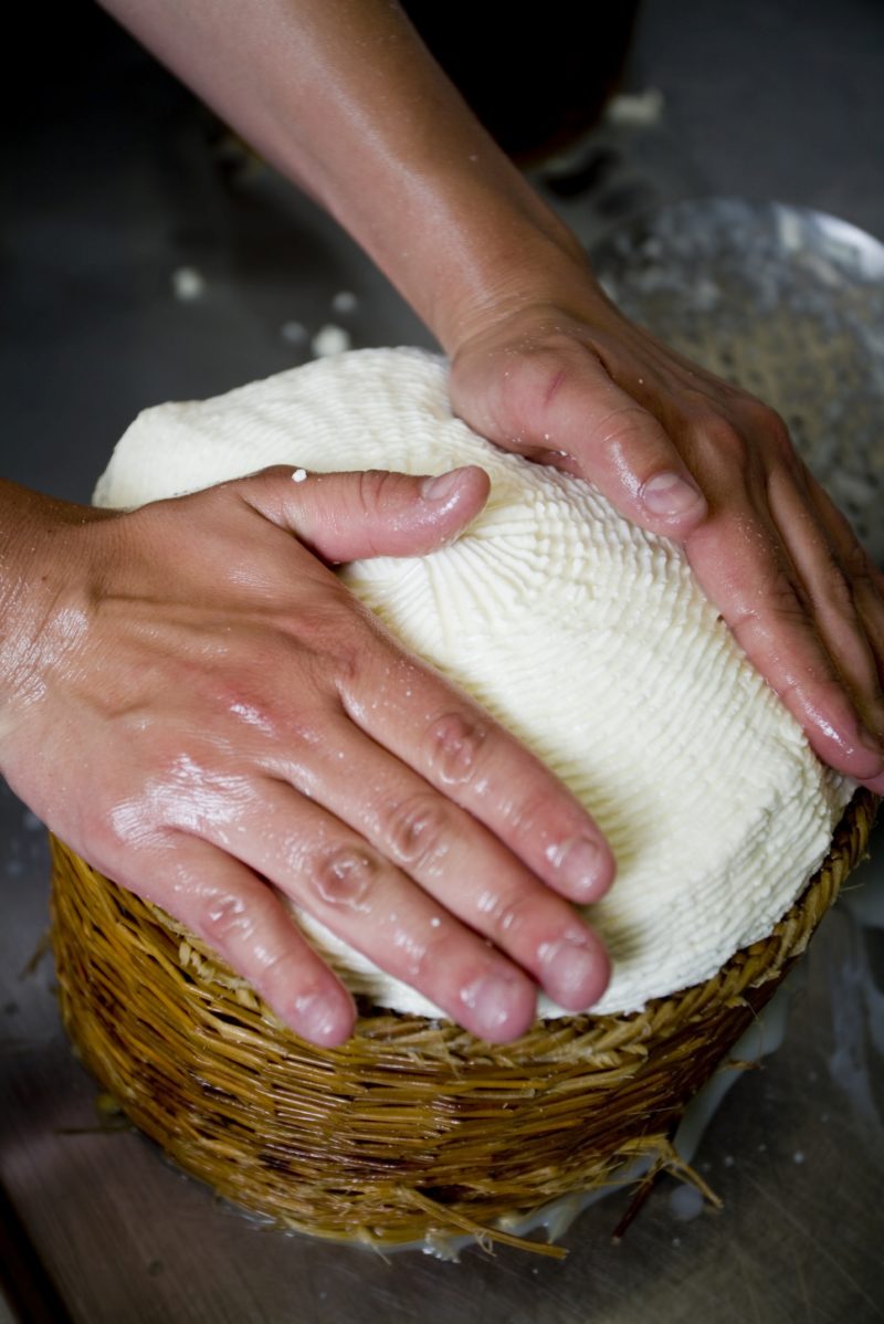 Fresh Pecorino di Farindola